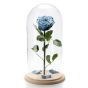 Trandafir criogenat albastru degrade in cupola de sticla mare