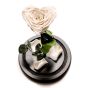 White heart-shaped cryogenic rose * Limited edition