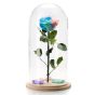 Trandafir nemuritor multicolor in cupola de sticla mare