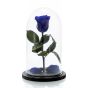 Medium blue cryogenic rose