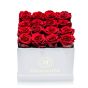 Box of 17 red cryogenic roses