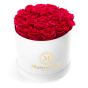 White round box with 23 cycalm roses