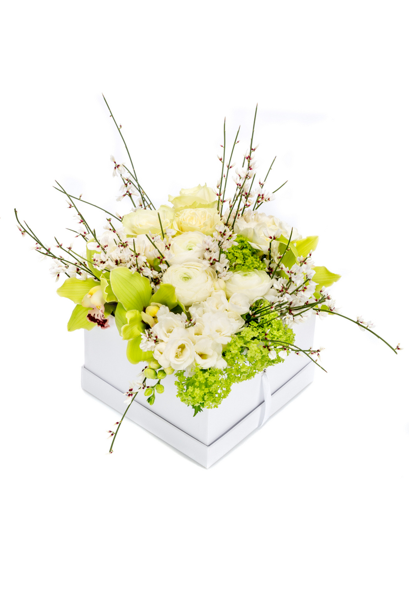 Cutie cu frezie alba si ranunculus alb - Frezie|Ranunculus|Trandafiri